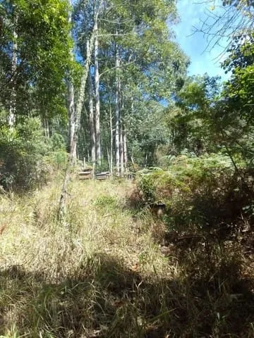 Foto do imóvel Terreno à venda 1200M², Centro, Mairiporã - SP
