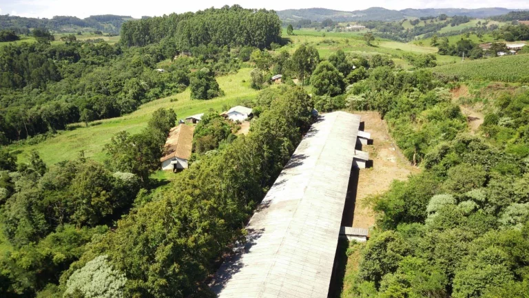 Imagem Área Agrícola para Venda em Ipumirim, Rural