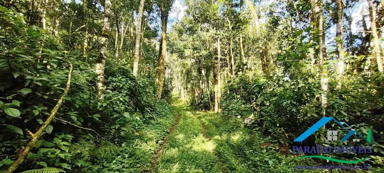 Imagem Terreno Exuberante no Bairro Campestre, Gonçalves – Serra da Mantiqueira