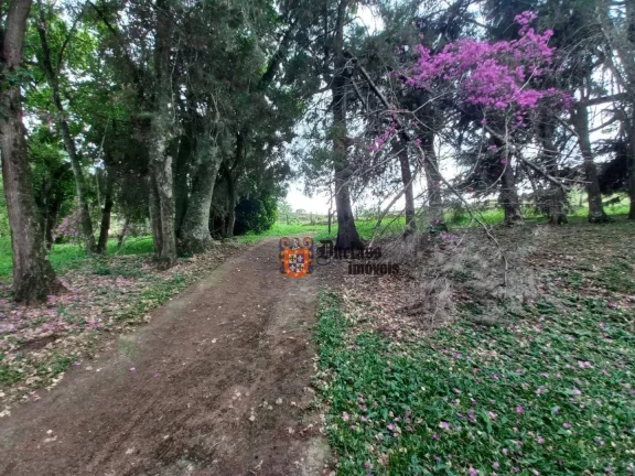 Imagem Área à venda, 21140 m² por R$ 2.500.000,00 - dos Pessegueiros - Extrema/MG