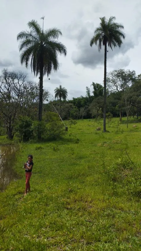 Foto do imóvel Terreno à venda em Betim/MG com 25.000 m² valor R$ 650.000,00