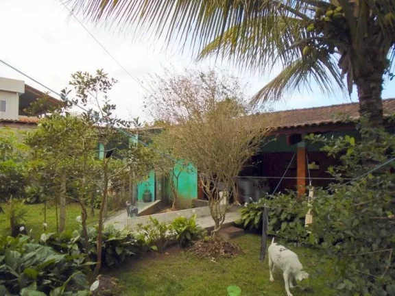 Imagem CASA COM BELO POMAR E EDÍCULA