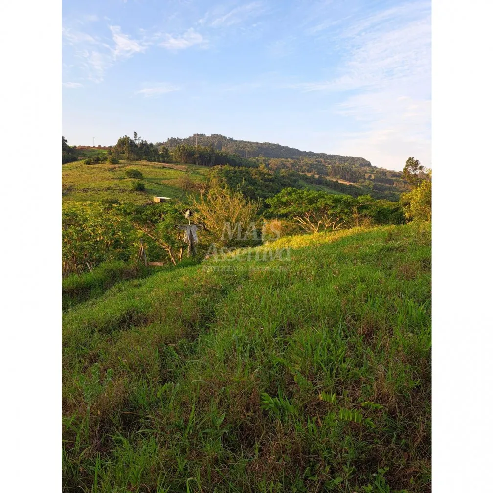 Imagem Santo Antônio da Patrulha RS - Localidade de Pinheirinhos.
R$ 270.300,00 A que busca uma área...