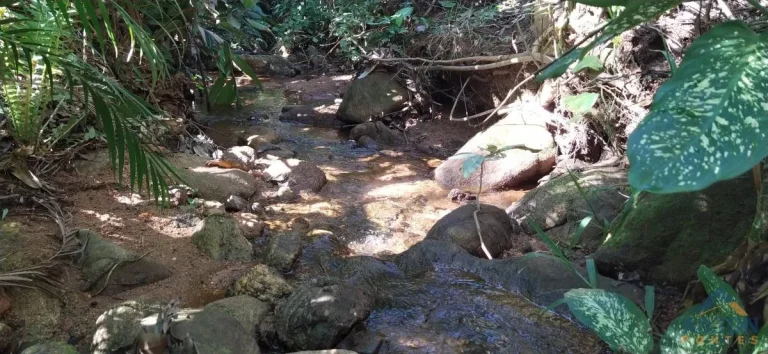 Imagem Terreno com 30.958m2, à venda em Buenos Aires - Guarapari/ES