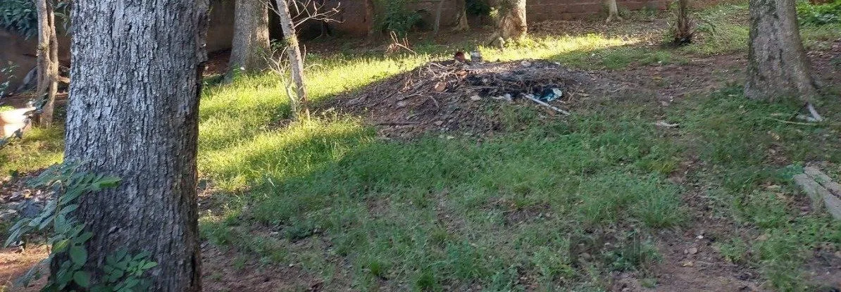 Imagem Terreno em Menino Deus
