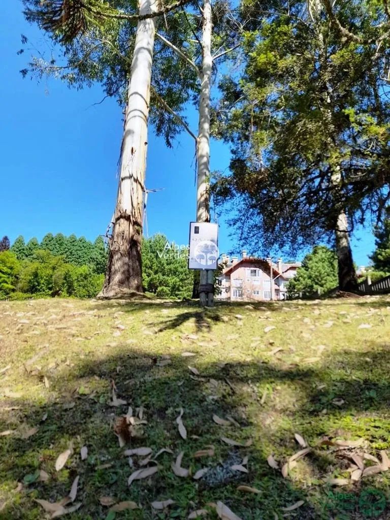 Foto do imóvel Área à venda, 1112 m2 por R$ 2.500.000,00 - Bosque - Canela/RS