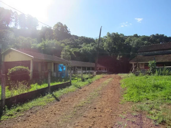 Imagem Área Agrícola para Venda em Lindóia do Sul, Rural
