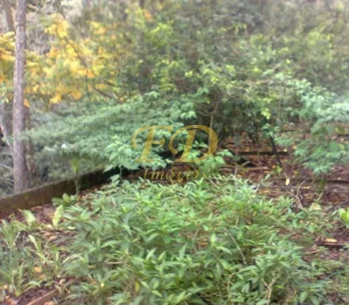 Imagem Chácara em Mairiporã - SP