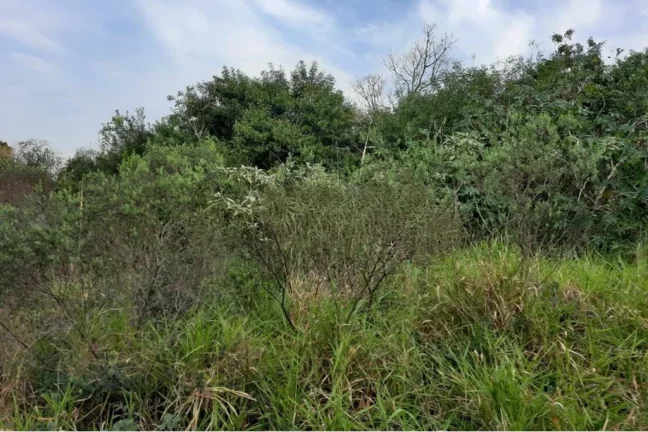Imagem Terreno/Lote Residencial para venda no bairro São Lucas em Viamão