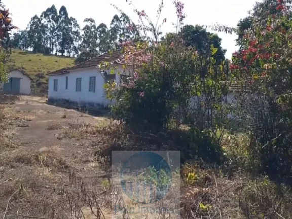 Imagem Sítio planta café 22,34 alqueires, terra vermelha, casa, água, galpão - Zona Rural - Biguatinga l de Minas Gerais