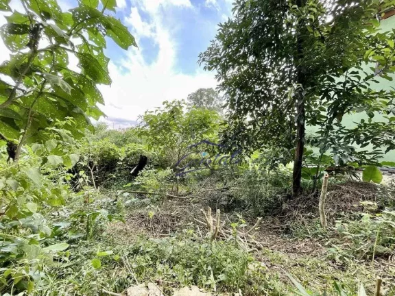 Imagem Terreno à venda, 907 m² - Granja Viana - Cotia/SP