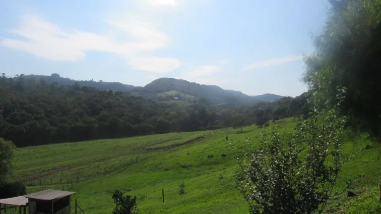 Foto do imóvel Área Agrícola para Venda em Concórdia, Interior em Interior