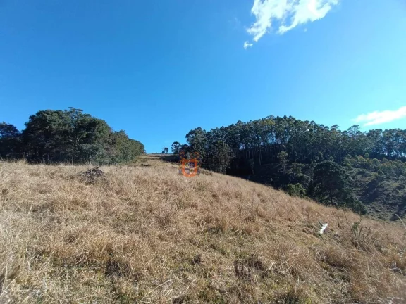 Imagem Área à venda, 145200 m² por R$ 1.300.000,00 - Bom Jardim - Camanducaia/MG