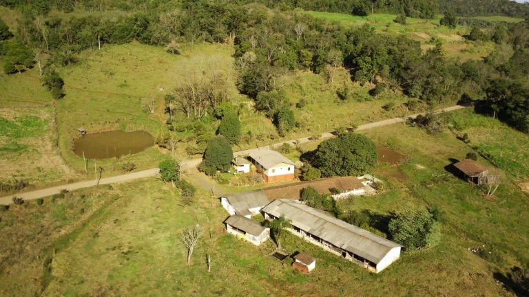 Imagem Área Agrícola para Venda em Ipumirim, Centro
