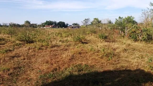 Imagem Chácara à venda 2000M², Cruz Pequena, Pindamonhangaba - SP
