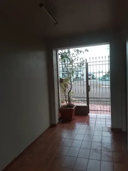Imagem Casa com 3 Quartos para Alugar, 117 m² em Ijuí - Ijuí