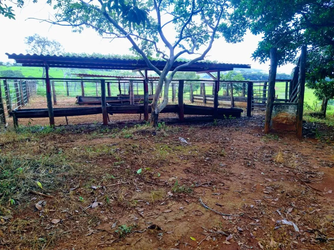 Imagem Oportunidade Imperdível em São José da Varginha/MG 38 hectares de terra
