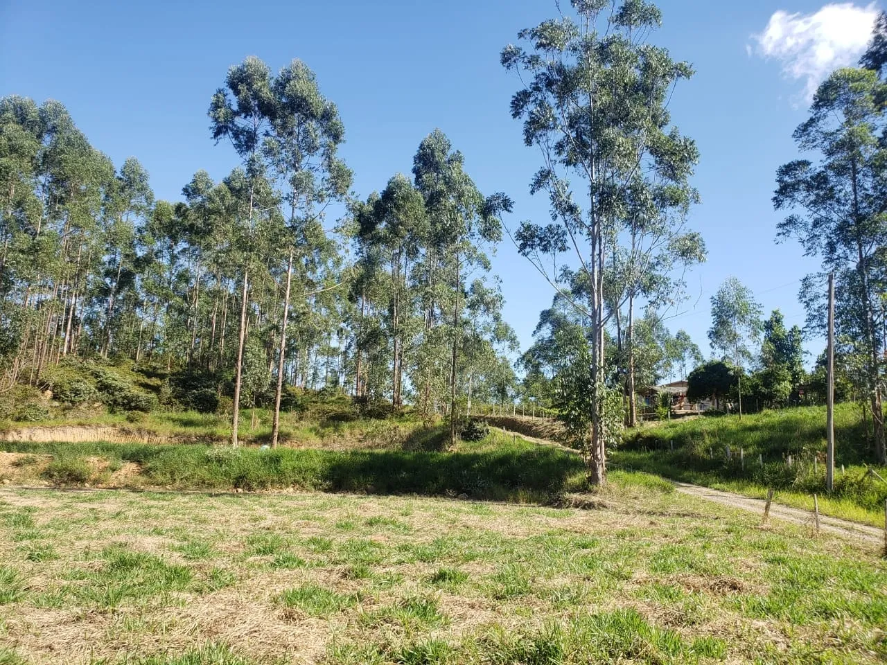 Imagem Terreno à venda 1065M², Zona Rural, Tremembé - SP