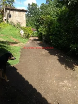Imagem CHACARA RURAL em PALMEIRAL - MG, PALMEIRAL