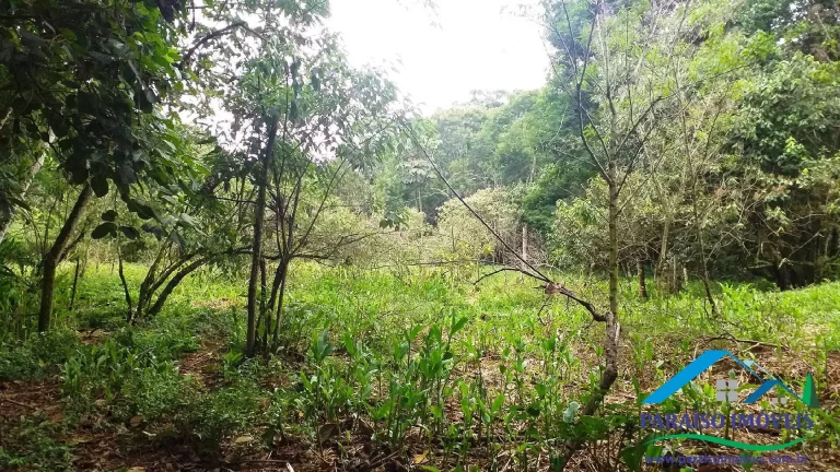 Imagem Paraíso Ecológico: Terreno com Nascente Própria e Vista Panorâmica.