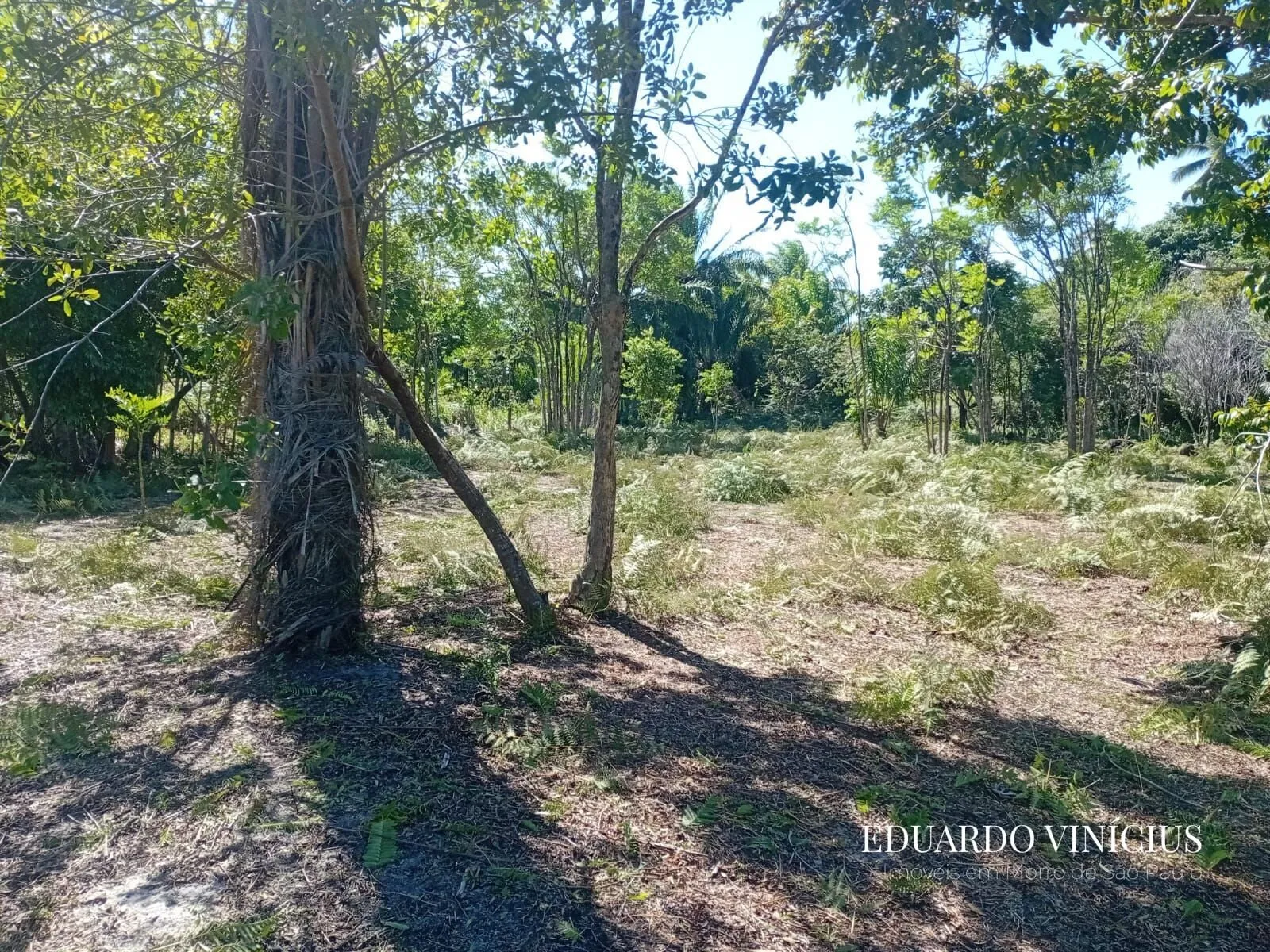 Foto do imóvel Terreno com 2.500m² em Garapuá - Morro de São Paulo em R. dos Sabiás, 30 - Garapua, Cairu - BA