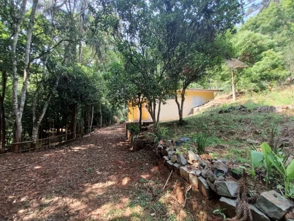 Imagem Terreno Rural para Venda em Concórdia, Rural