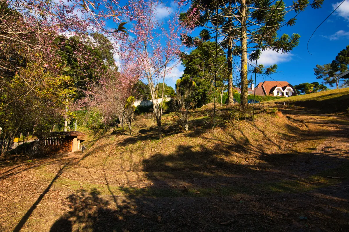 Imagem Casa para venda em Toriba com 3 quartos, sendo 2 suítes, 250m2