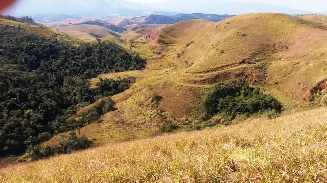 Imagem Chácara à venda Zona Rural, Lavrinhas - SP