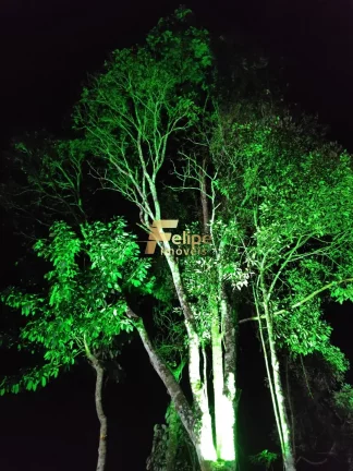 Imagem BELÍSSIMO SÍTIO À VENDA NA REGIÃO DAS MONTANHAS CAPIXABAS, LOCALIZADO EM DOMINGOS MARTINS/ES!
