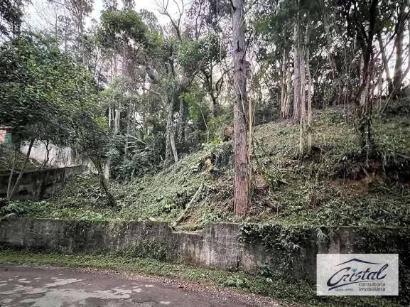 Imagem Chác. Sto Antonio - LOTE Rua Odair Martins (rua fechada), alto e com vista!