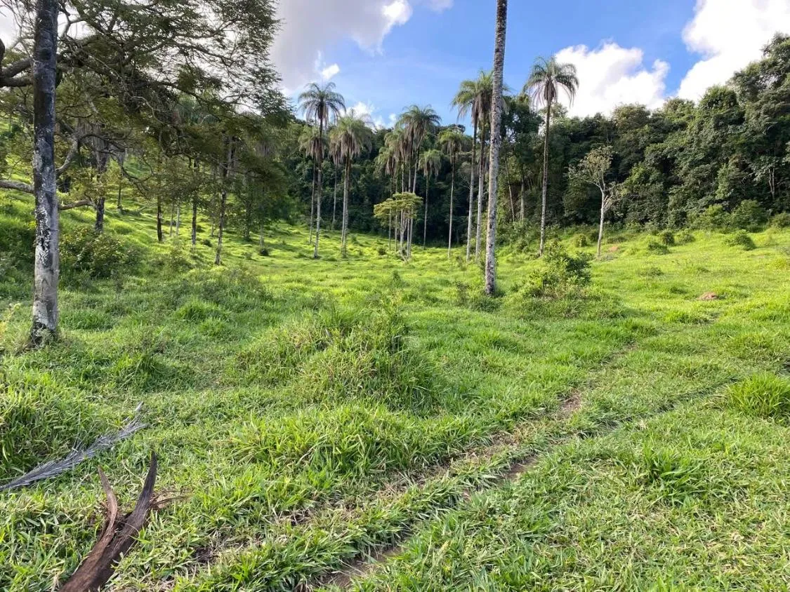 Imagem Excelente Terreno à Venda em Itaguara/MG: 19 Hectares com Fácil Acesso à BR-381