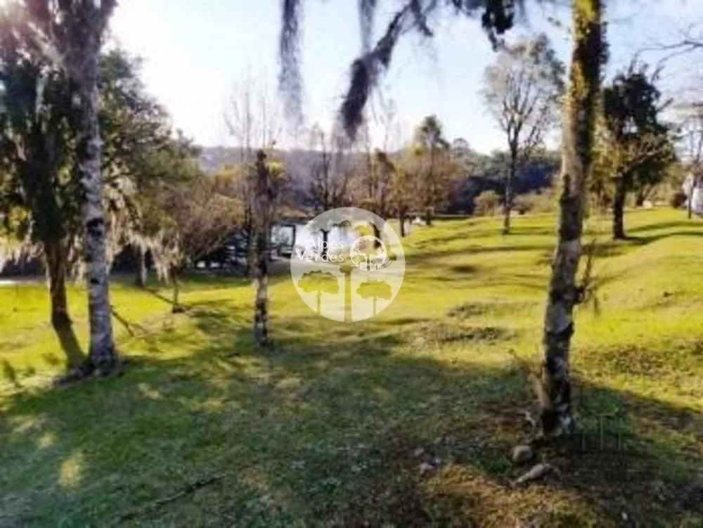 Imagem Terreno à Venda em Mato Queimado, Canela - RS