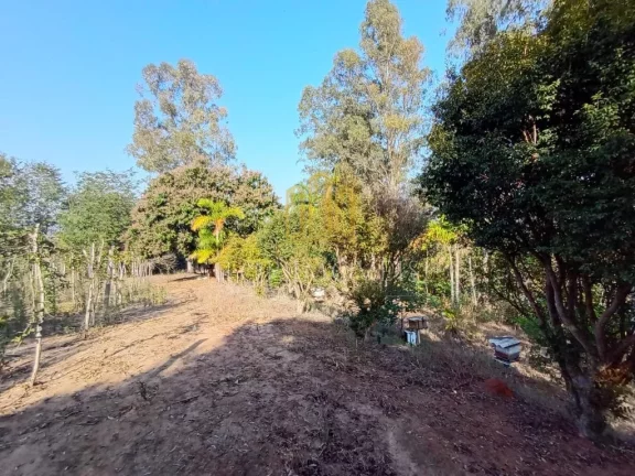 Imagem Ótimo Terreno Piedade Caçapava Frente para Carvalho Pinto 6.500m² Faz Incorporação 90%