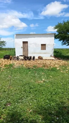 Imagem Fazenda à venda em Jandaíra - 300 hectares com alto potencial produtivo