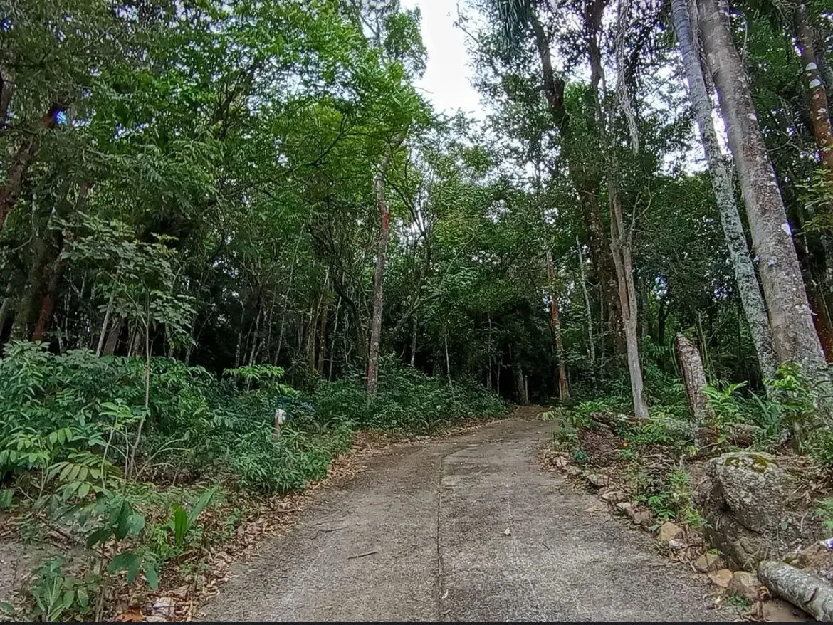 Imagem Chácara Pilar do Sul