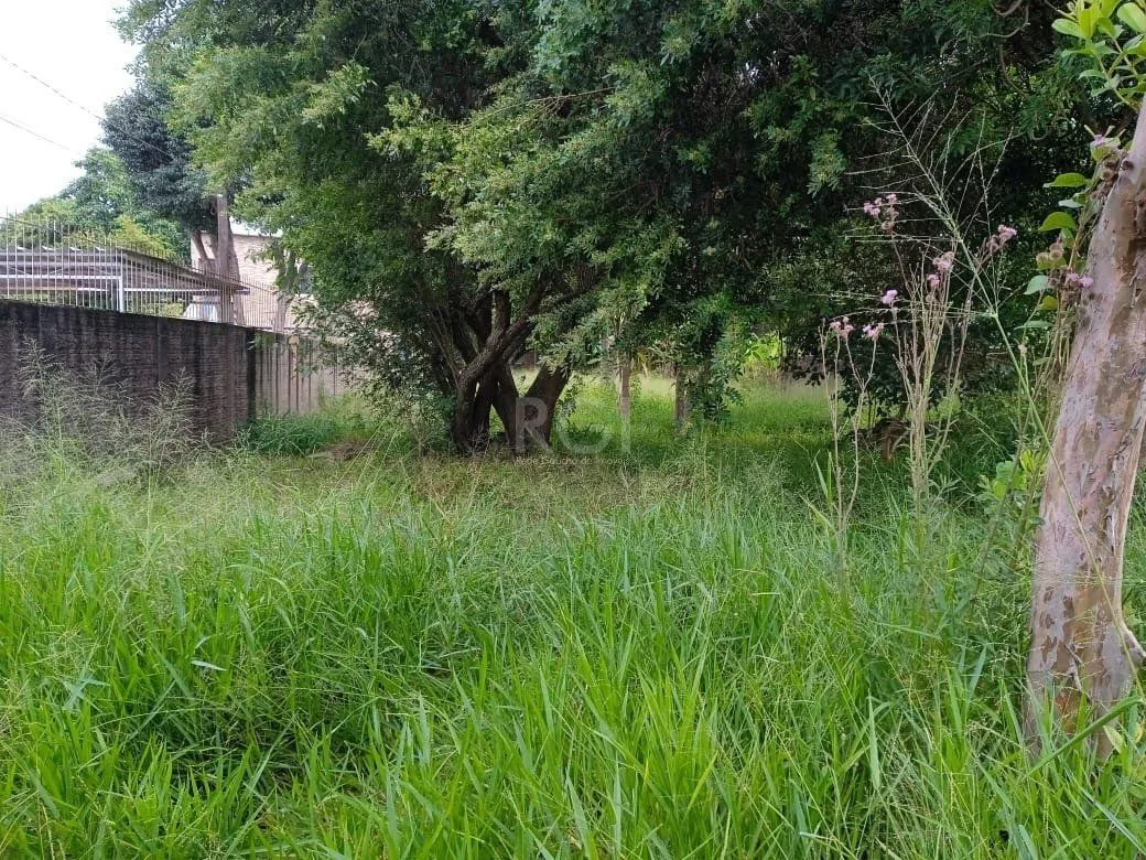 Imagem Terreno para Venda - 0m², 0 dormitórios, Tristeza