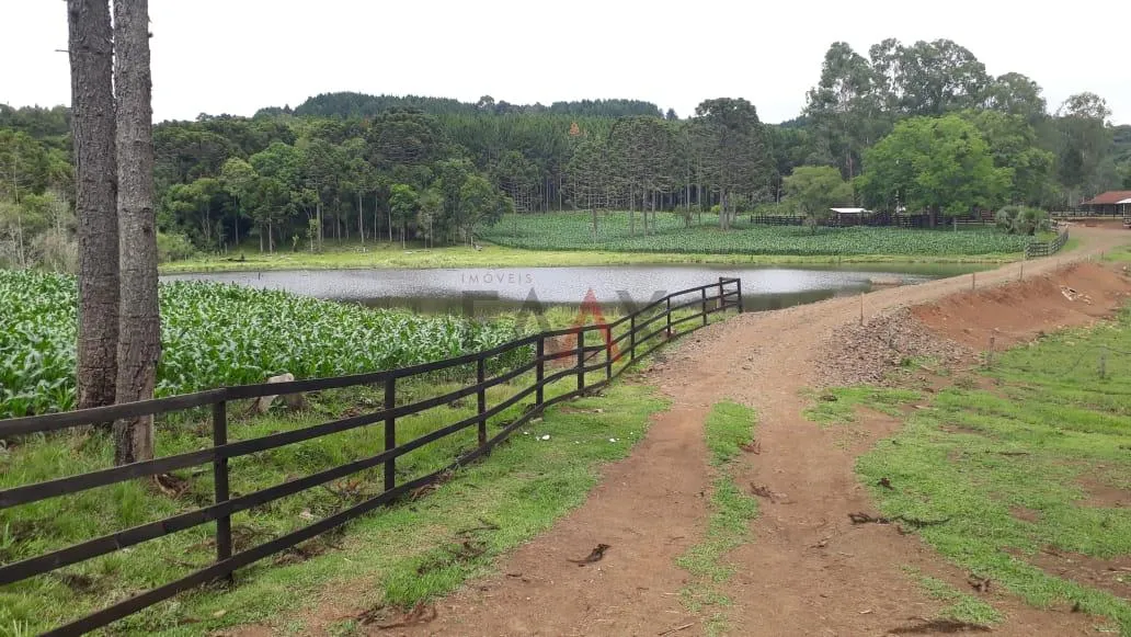 Imagem Area Rural Porteira Fechada, Arroio Fundo dos Rizis, TURVO - PR