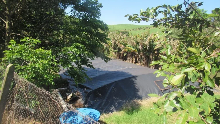 Imagem Área Agrícola para Venda em Arabuta, Rural