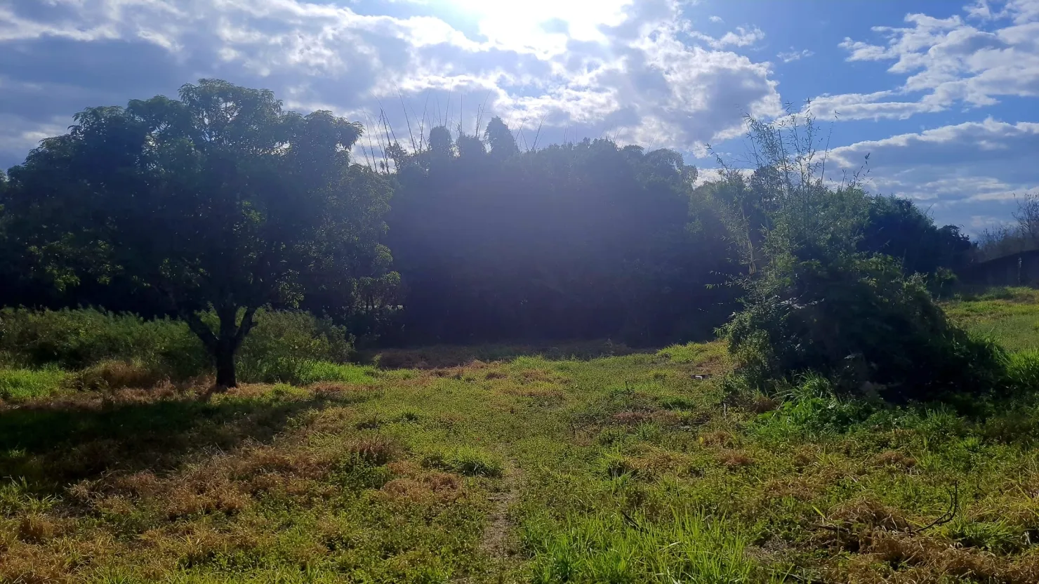 Imagem Terreno à venda 8500M², Jardim Mourisco, Taubaté - SP