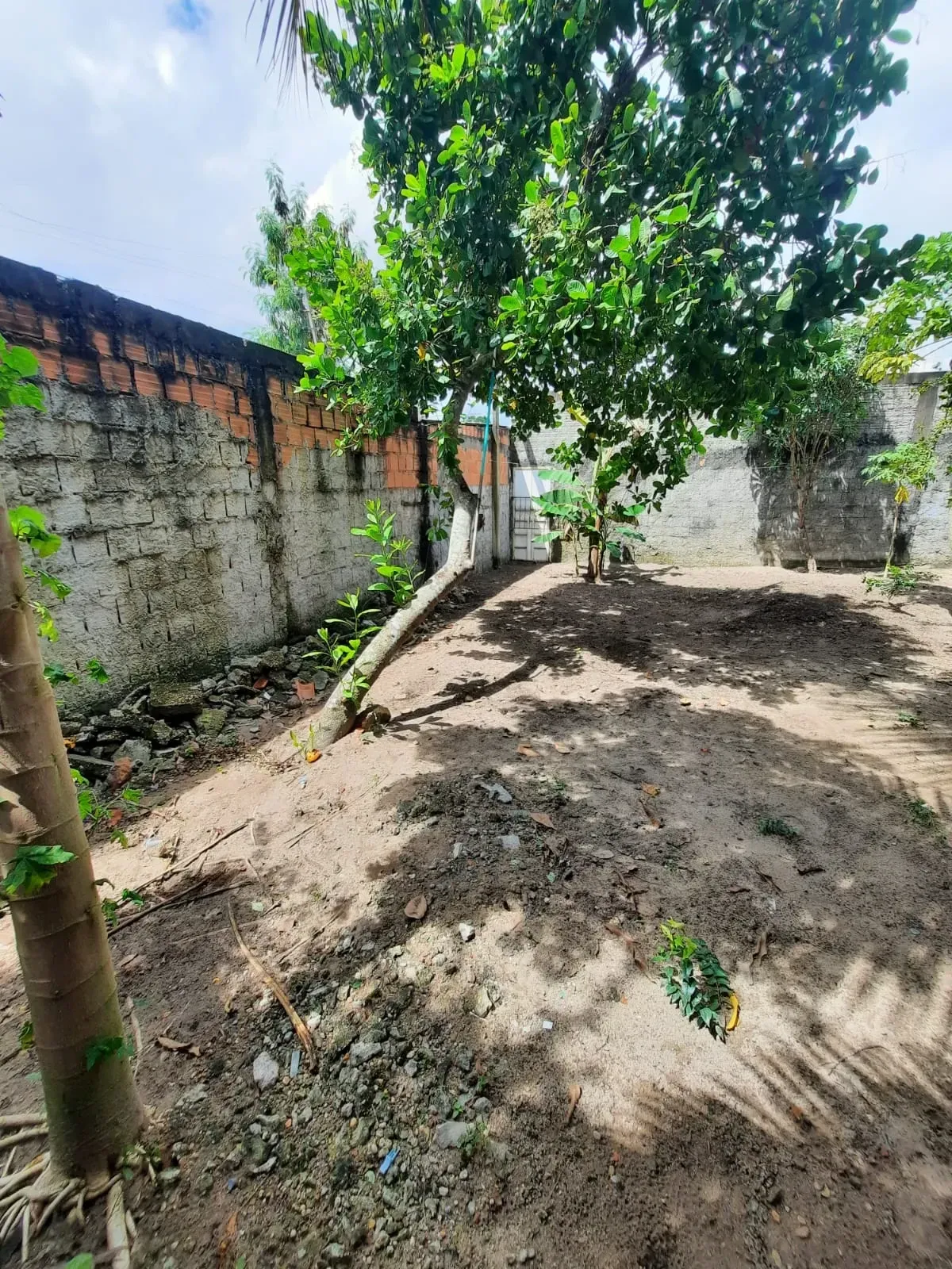 Imagem Casa com 3 Quartos à Venda ou Locação, 80 m² em Novo Aleixo - Manaus