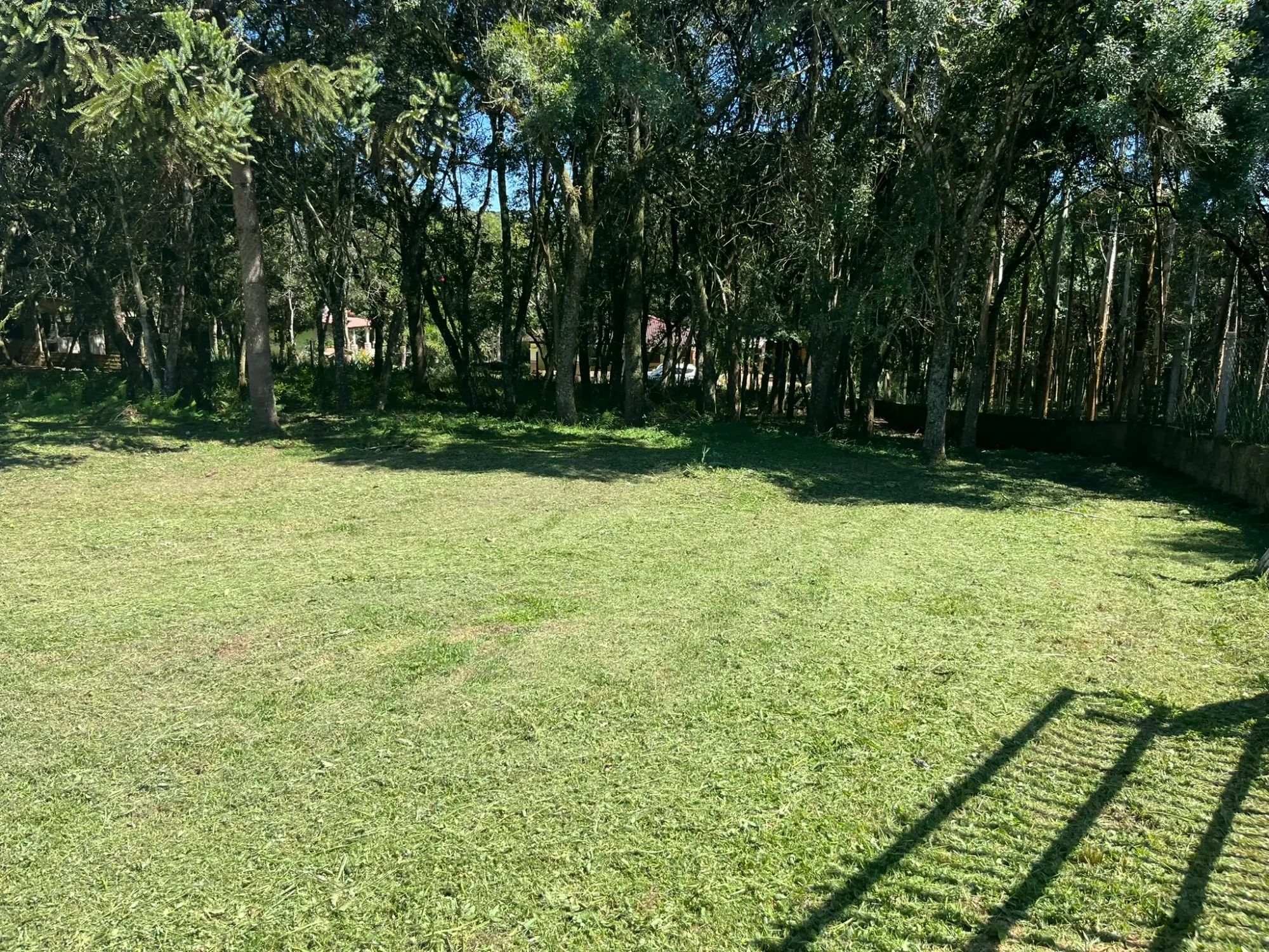 Imagem Chácara com 3 Quartos à Venda, 8000 m² em Campina do Taquaral - São José dos Pinhais