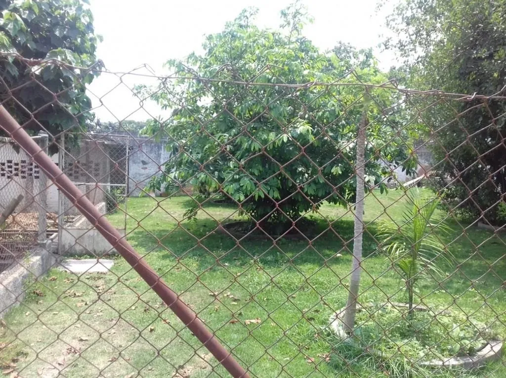 Imagem Chácara à venda 300M², Parque São Luís, Taubaté - SP