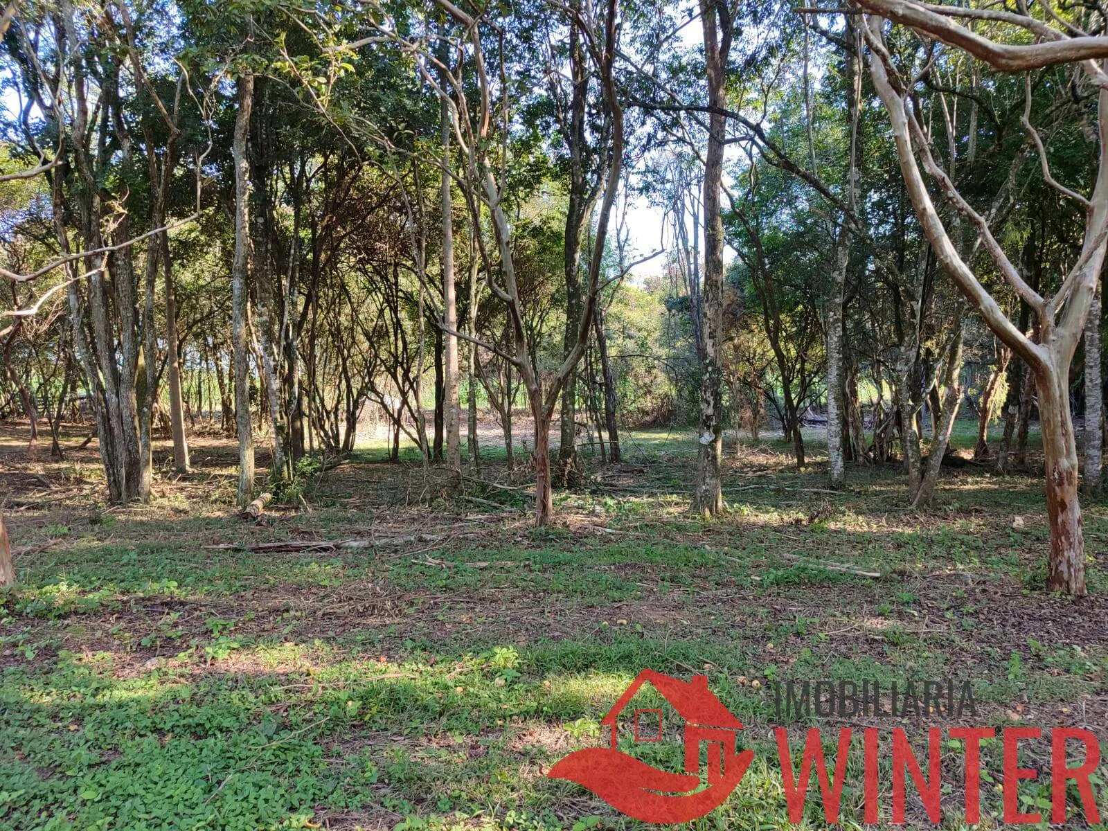 Imagem Área de terras plana com 4.800,00m² em Morro São Pedro, Bom Princípio.