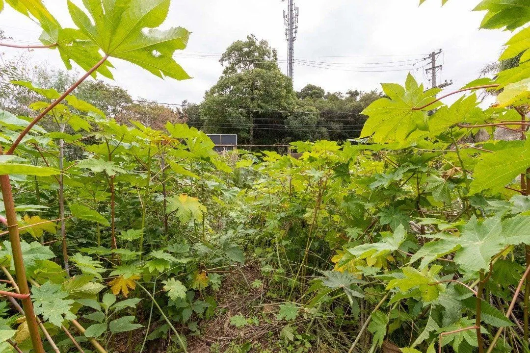 Imagem Terreno para Venda - 0m², 0 dormitórios, Vila Assunção