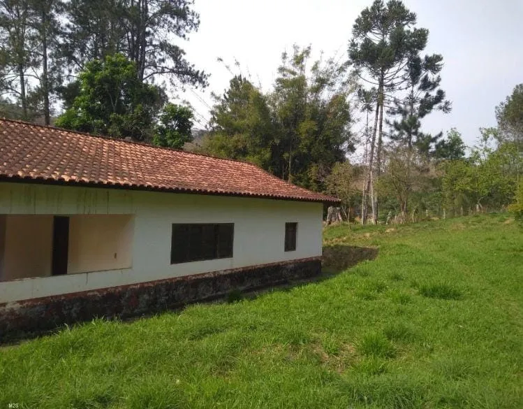 Imagem Chácara à venda, Cedro, Cunha, SP