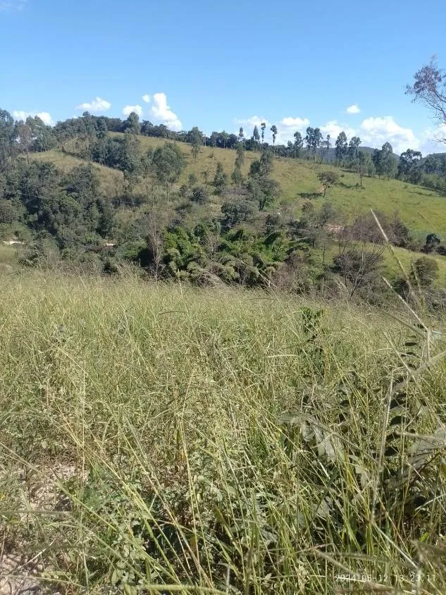 Foto do imóvel Ótima Oportunidade em Itaguara/MG: Terreno de 6 Hectares no Povoado Boa Vista