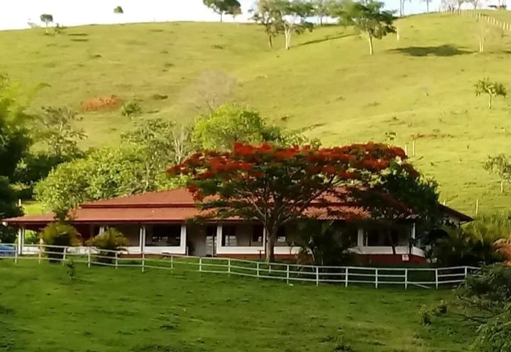 Imagem Sítio à Venda - 36.000m² com Casa de 273m² - Próximo à Cachoeira Grande, Ideal para Moradia ou Airbnb