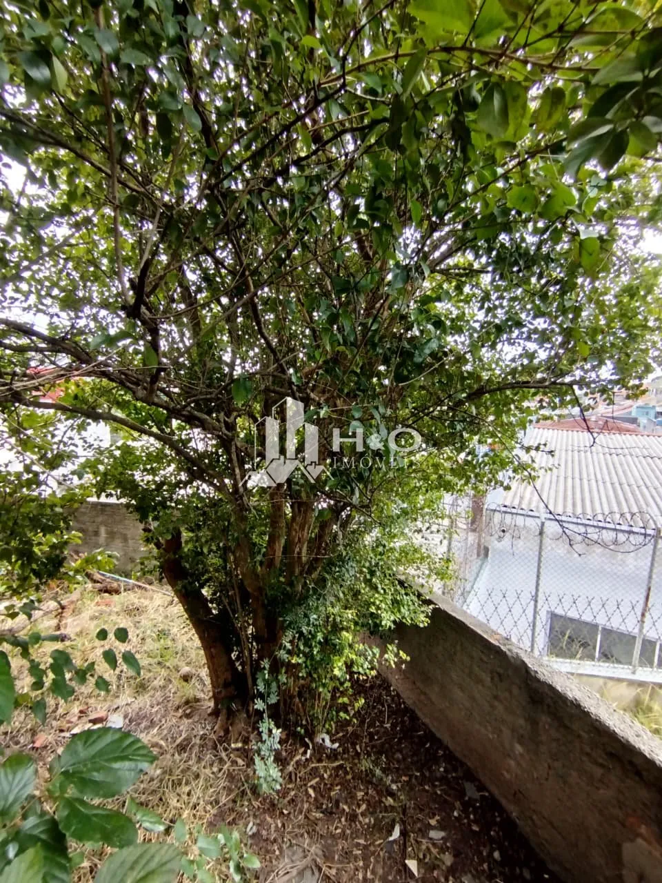 Imagem Casa Térrea à Venda no Jardim Nossa Senhora do Carmo/ Parque do Carmo - 170 m² de Área Construída em Terreno de 367 m²