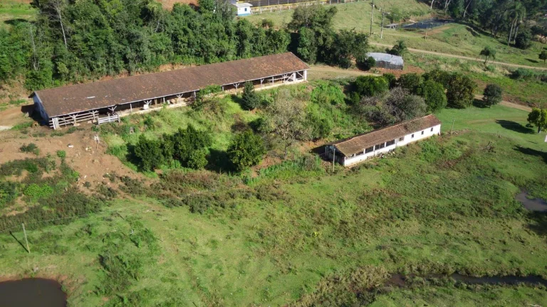 Imagem Área Agrícola para Venda em Concórdia, Interior