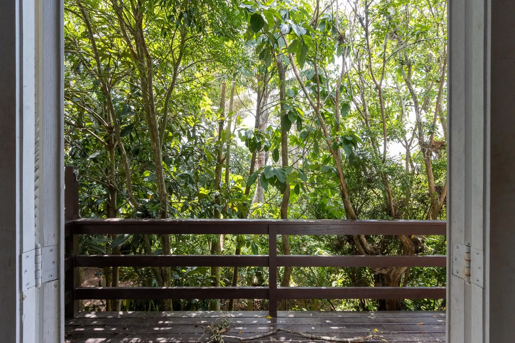 Imagem Bela casa térrea, 2 dormitórios e 1 suite - Parte alta do Bairro Espirito Santos